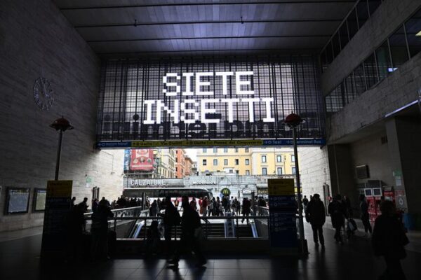 siete_insetti_netflix_oohplay