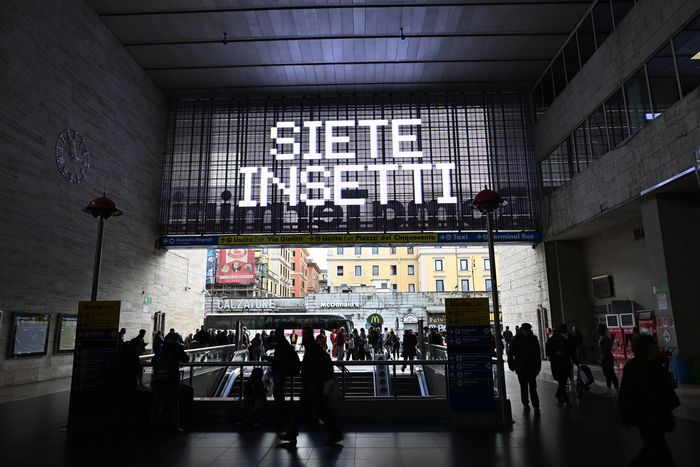 siete_insetti_netflix_oohplay